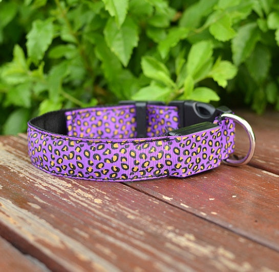 LED Adjustable Leopard Dog Collar