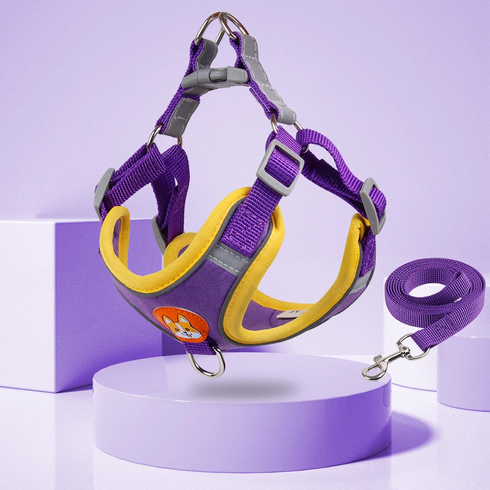 Reflective Dog Harness & Leash Set - Adjustable No-Pull Design for Small Dogs