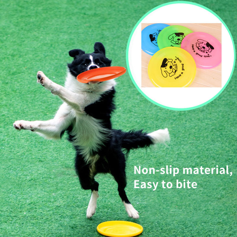 Durable Silicone Flying Disc - Interactive Dog Toy