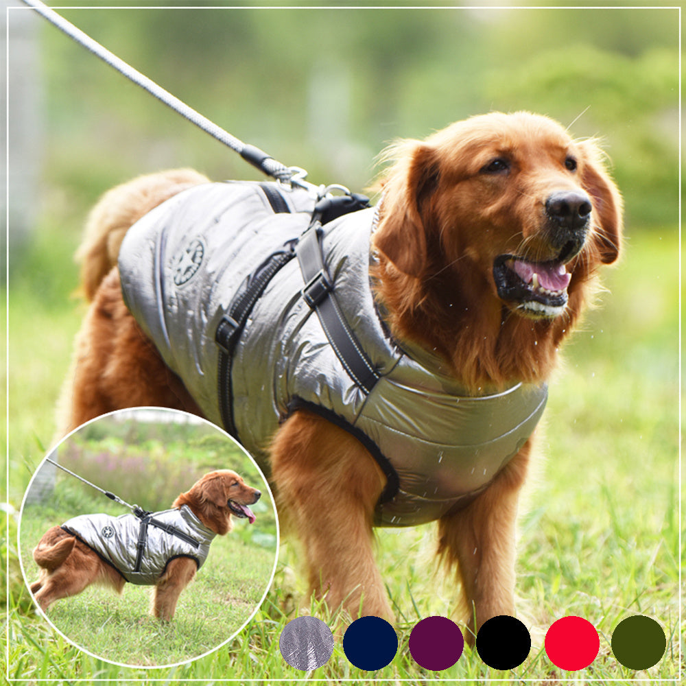 Premium Winter Dog Coat with Built-in Harness - Waterproof