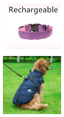 LED Adjustable Leopard Dog Collar
